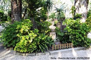 19 ELCHE HUERTO DEL CURA (112)